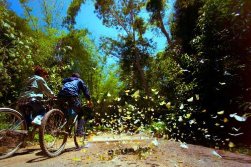 Randonnée Au Parc National De Nam Cat Tien 2 Jours