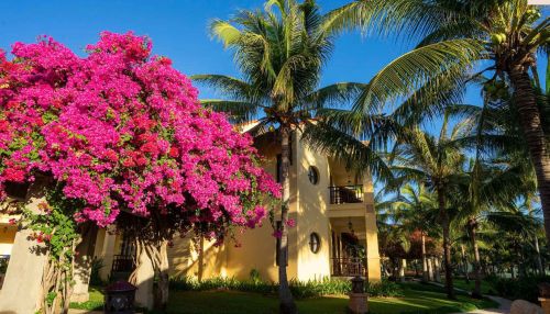 Pandanus Resort