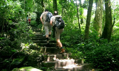 Parc national de Cuc Phuong - Mai Chau
