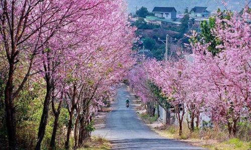Informations sur le climat de Dalat et conseils de voyage
