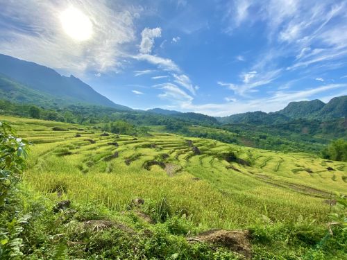 Saison du Riz à Pu Luong : Un Paradis Caché pour les Amoureux de la Nature