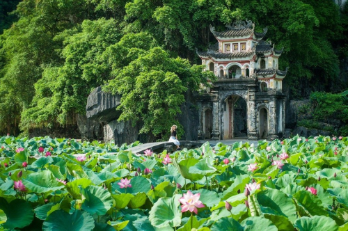 Quai de Tam Coc - Porte d'entrée vers la beauté majestueuse de Ninh Binh