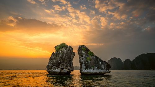 Croisière d'une journée dans la baie d'Halong
