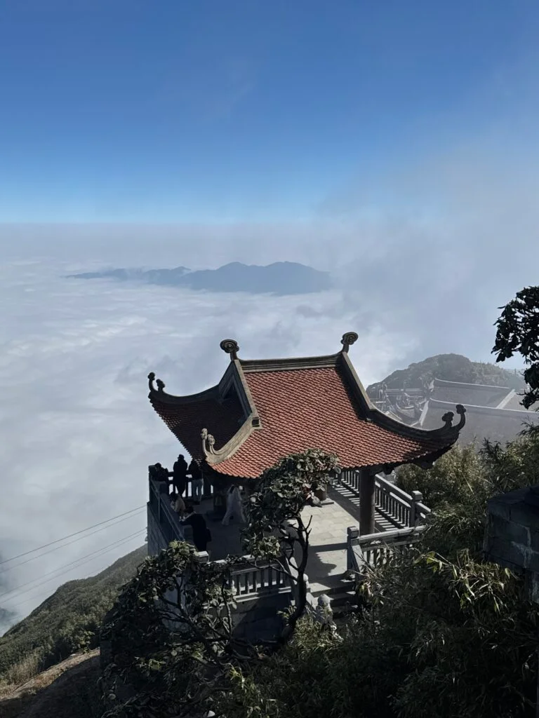 sapa